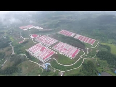 가금류 배터리 케이지 시스템