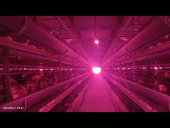 낮은 고장율 가축 먹이 시스템 정밀 제어