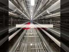 가성비 계란 생산 닭장 시스템 Q235 강철