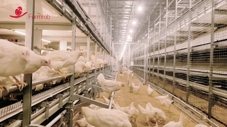 Farmrob 복지 시스템